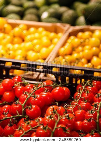 Colourful Mix Of Different Red, Orange, Yellow, Green Fresh Vegetables At Market.