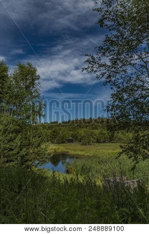 Area Near Novoveska Spring In Slavkovsky Les National Park In Summer Morning