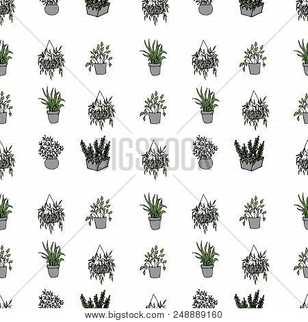 Houseplants In Flowerpots.vector Seamless Pattern On White Background