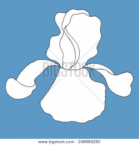 Iris Flower. Iris Sibirica. Hand Drawn Vector Illustration In Cartoon Style, On Blue Background.