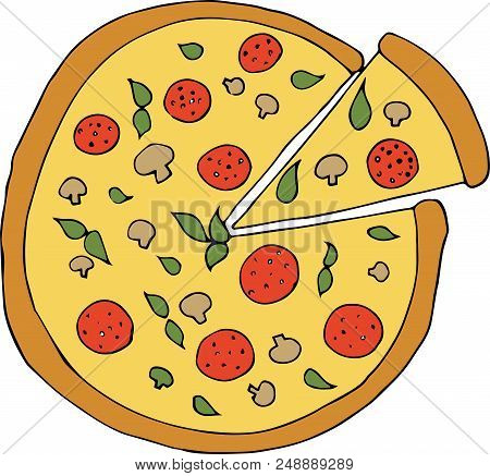 Cartoon Vector Illustration of Italian Pizza with mushrooms and basil