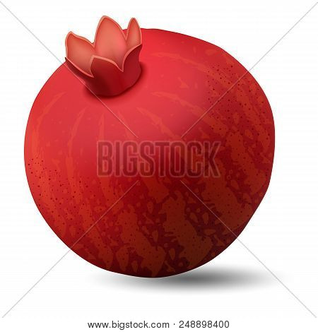Pomegranate Icon. Realistic Illustration Of Pomegranate Vector Icon For Web Design Isolated On White