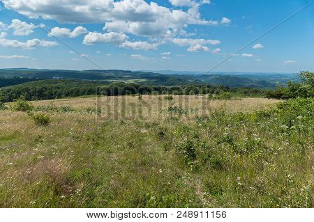 A Huge Number Of Wild Wildflowers And Shrubs Against The Background Of Wide Massive Green Mountains