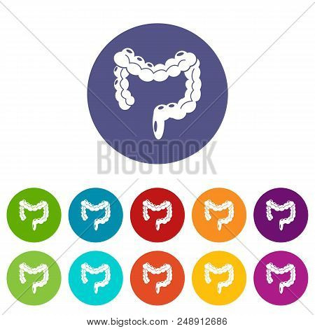 Human Large Intestine Icons Color Set Vector For Any Web Design On White Background