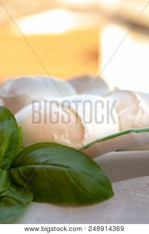 Fresh Soft Italian White Cheese Mozzarella Buffalo, Original From Campania, Paestrum And Foggia Regi