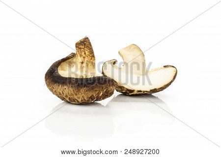 Group Of One Whole One Half Of Fresh Raw Brown Shiitake Mushroom Isolated On White