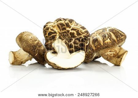 Group Of Three Whole One Half Of Fresh Raw Brown Shiitake Mushroom Isolated On White