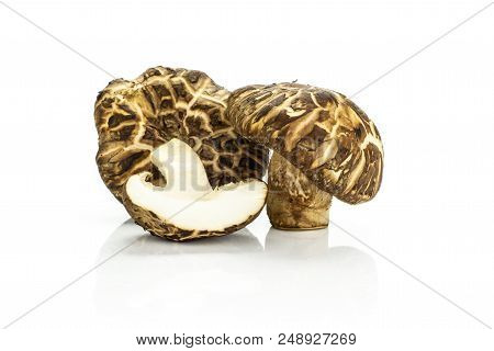 Group Of Two Whole One Half Of Fresh Raw Brown Shiitake Mushroom Isolated On White