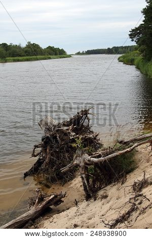 Gauja River Coast Near Carnikava, Latvia.  Baltic States