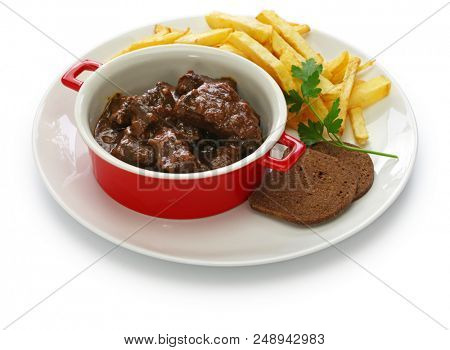 carbonade flamande with frites , flemish beef stew, belgian cuisine