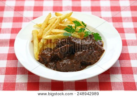 carbonade flamande with frites , flemish beef stew, belgian cuisine