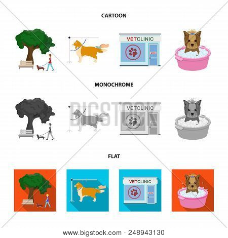 Walking With A Dog In The Park, Combing A Dog, A Veterinarian Office, Bathing A Pet. Vet Clinic And 