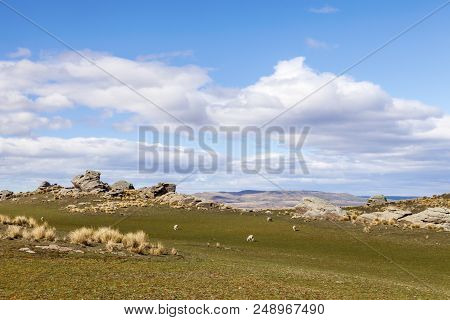 A Scene Typical Of The Countryside To Be Seen From The Moonlight Road, Which Runs From Macraes Flat,