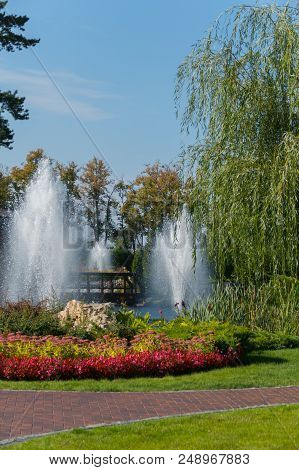 High Fountains Spray Water Over A Lake In A Park With Beautiful Flowerbeds. Mezhyhirya Ukraine