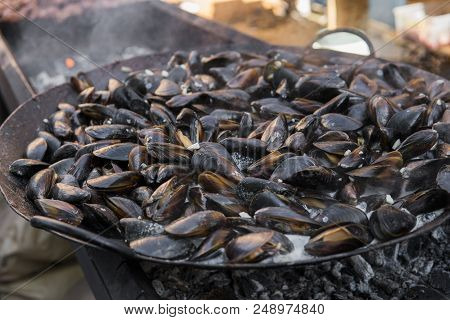Fresh Mussels At Grill Pan. Seafood Barbecue Outdoors. Picnic Healthy Food, Mussels In Shells. Plent