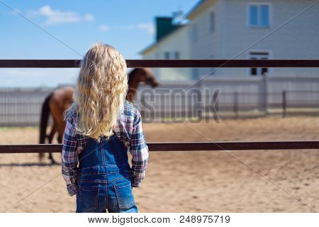 Back View Of Kid Looking At Horse Behind Fence At Farm