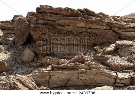 MT Hatta2_S