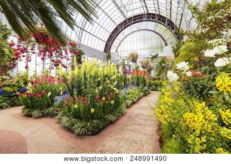 3 October 2012: Auckland, New Zealand - The Temperate Glasshouse, Wintergardens, Auckland Domain New