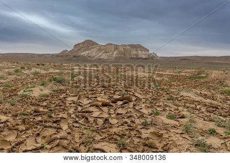 Land Cracked From The Heat. The Ustyurt Plateau. District Of Boszhir. The Bottom Of A Dry Ocean Teth