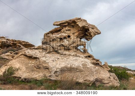 The Ustyurt Plateau. Limestone Stones Of Different Shapes. District Of Boszhir. The Bottom Of A Dry 