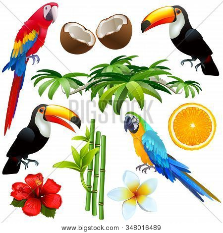 Vector Tropical Icons Isolated On White Background