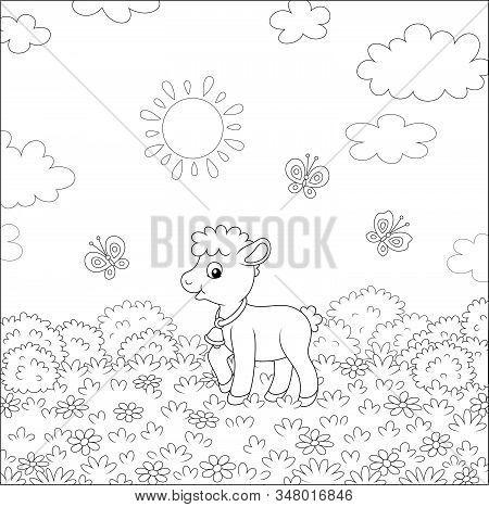 Small Butterflies Flitting Around Flowers And A Cute Little Limb Walking On Grass Of A Pretty Summer