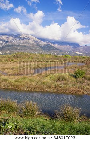 Beautiful Wetland Landscape On Sunny Spring Day. Montenegro, Tivat. View Of Tivat Salina  ( Tivatska