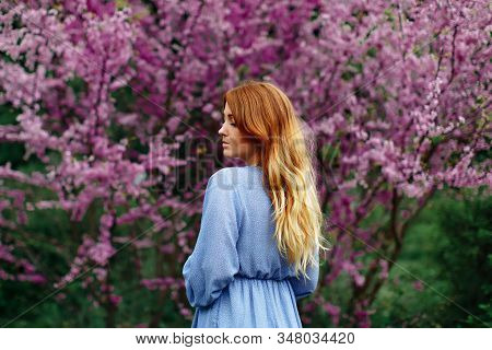 Beautiful Dreaming Redhead Woman In Spring Time Blossom Cherrytrees Garden.