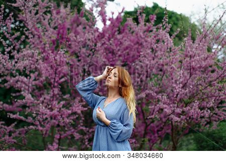 Beautiful Dreaming Redhead Woman In Spring Time Blossom Cherrytrees Garden.