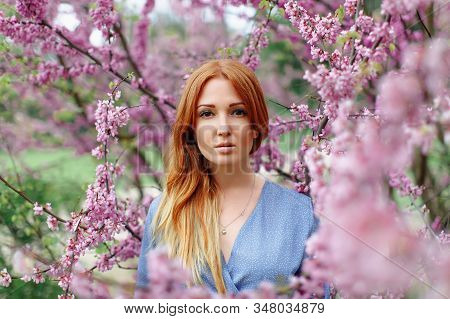 Beautiful Dreaming Redhead Woman In Spring Time Blossom Cherrytrees Garden.