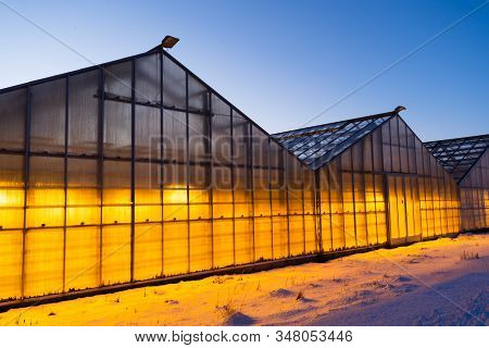 Thanks To The Geothermal Hot Water Iceland Is Able To Grow Plants All Year Long Even In The Winter T