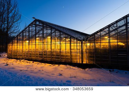 Thanks To The Geothermal Hot Water Iceland Is Able To Grow Plants All Year Long Even In The Winter T