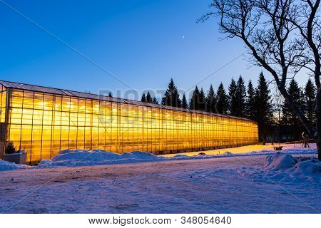 Thanks To The Geothermal Hot Water Iceland Is Able To Grow Plants All Year Long Even In The Winter T