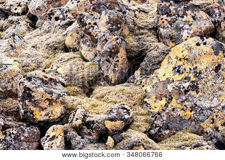 Colorful and abstract lichen and moss formation on rocks
