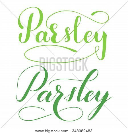 Vector Hand Written Parsley Text Isolated On White Background. Kitchen Healthy Herbs And For Cooking