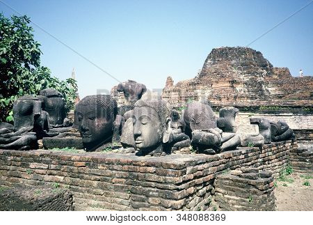 Heads Of Old Buddha Statues Sit On A Platform Among The Ancient Ruins Of Wat Phra Mahathat In Ayutth