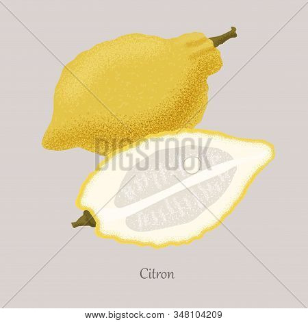 Yellow Citron And Citron Slice, Icon Isolated On Grey Background.