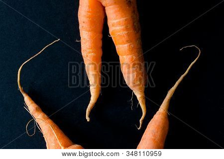 Carrots Belongs To Root Vegetagles - Their Ends Are  Roots , Which Are Feeding The Plants