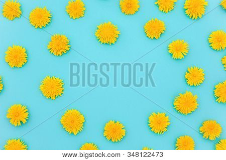 Flower Composition. Floral Frame Of Yellow Dandelions On Blue Background. Flat Lay Crearive Top View