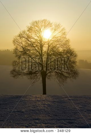Tedesco inverno I