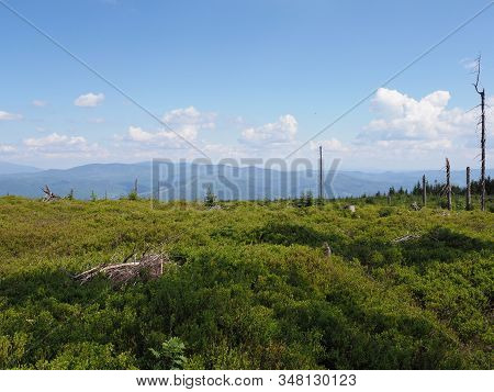 Panorama Of Silesian Beskids Mountains Range Landscapes Near Salmopol Pass Above European City Of Sz