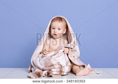 Close Up Portrait Of Beautiful Covered Brown And White Towel, Adorable Cheeper Posing Isolated Over 