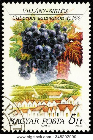 Moscow, Russia - January 30, 2020: Stamp Printed In Hungary Shows Grapes Cabernet Sauvignon, Villany