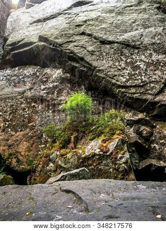 Megalithic rock structures with crevices within Szczeliniec sanstone ravine, Table Mountain National Park, Poland