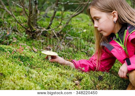 Elementary age girl found a potentially dangerous mushroom while playing in a backyard or camping in a forest- risk of child mushroom poisoning concept
