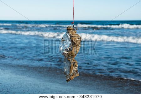 closeup of a used plastic bottle, covered with wet sand, in a fish hook, freshly fished in the ocean