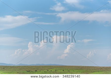 Pampa Landscapes. The Pampas Are A Natural, Pastoral Plains With Field-covered Plains Located In Sou