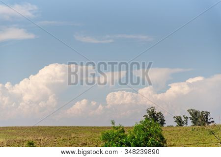 Pampa Landscapes. The Pampas Are A Natural, Pastoral Plains With Field-covered Plains Located In Sou