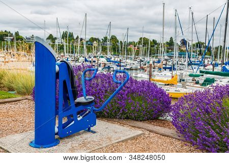Bellingham, Washington - July 7, 2019: The Port Of Bellingham Operates Two Large Marinas, With Slips