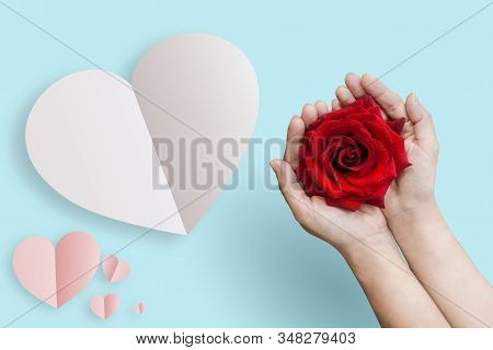 Valentine's Day , Red Rose In Hand Isolated On Light Blue Background. Creative Flat Lay Photo Copy S